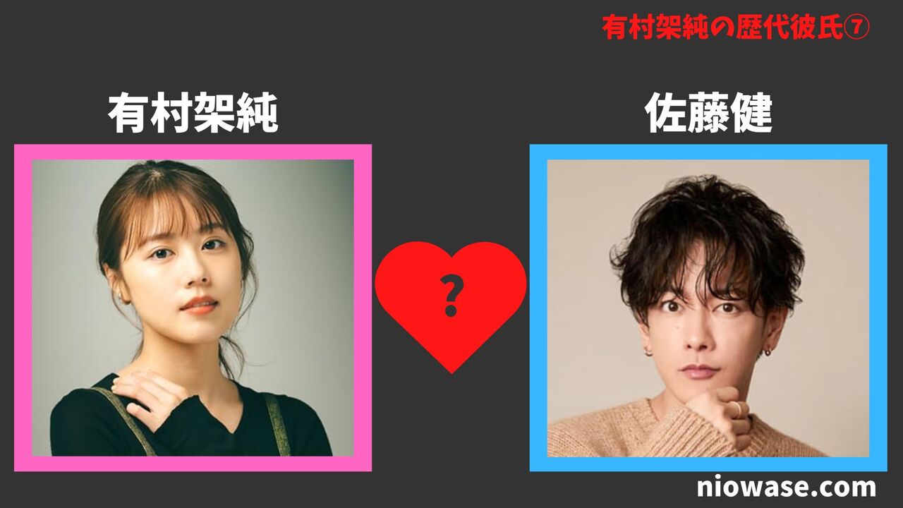 佐藤健(俳優)2016年