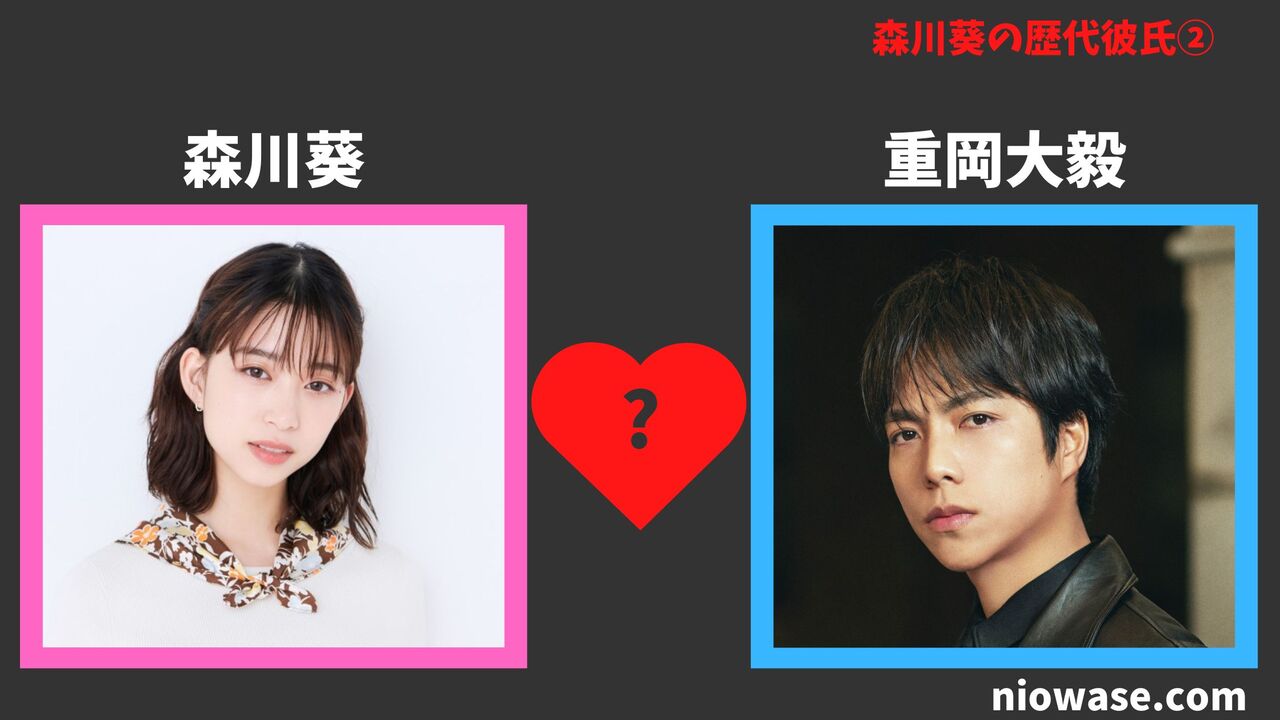 重岡大毅(2014年)